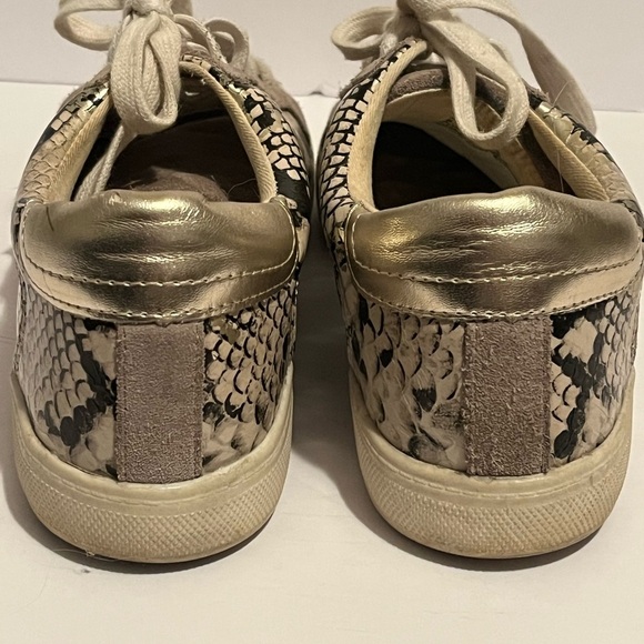 Steve Madden Amalfi Women's Metallic Python Snake Star Sneakers - Picture 3 of 14